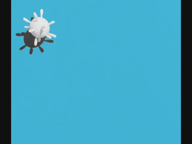 Charger la vidéo : Vidéo montrant des gants en nitrile manipulant une bactérie.